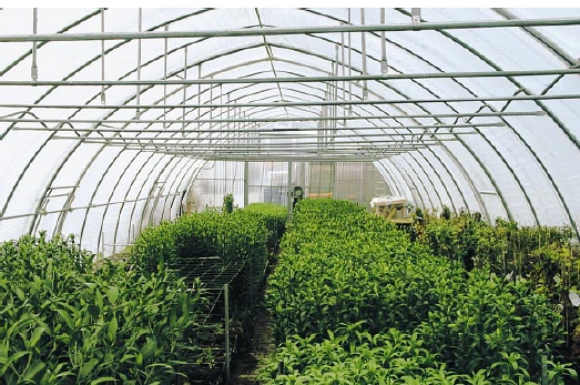 Dill GmbH
