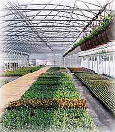 Dill GmbH